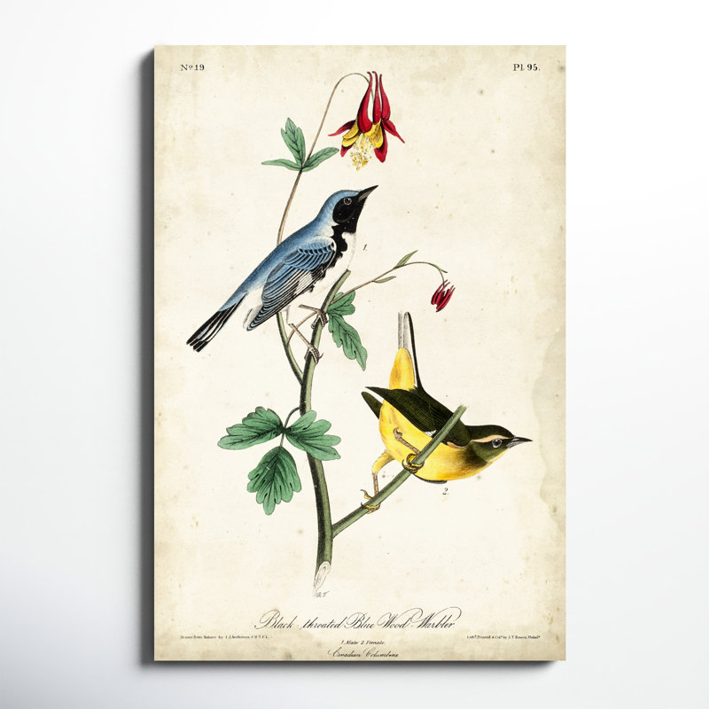 «Black-throated Blue Wood Warbler», peinture sur toile, H 48 po x l 32 po