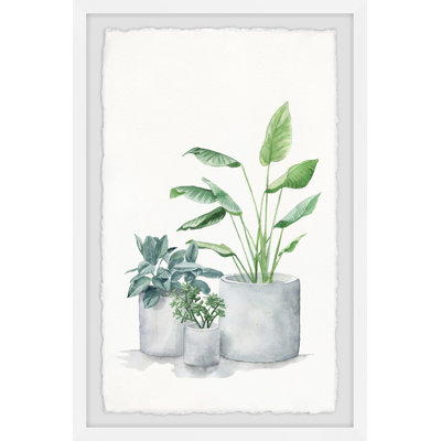 Blooming Houseplants 1 Piece Single Picture Frame Painting