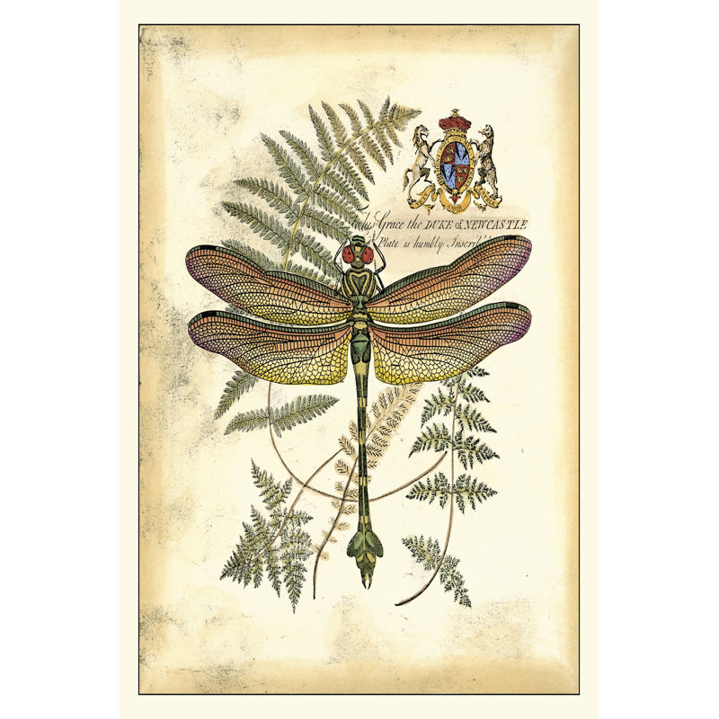 Regal Dragonfly III by Vision Studio - Wrapped Canvas Print, 122cm H x 81cm W