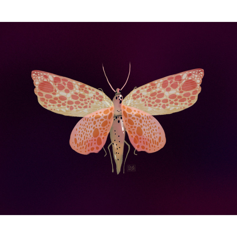 Wrapped Canvas Print, 50.8 cm H x 76.2 cm W