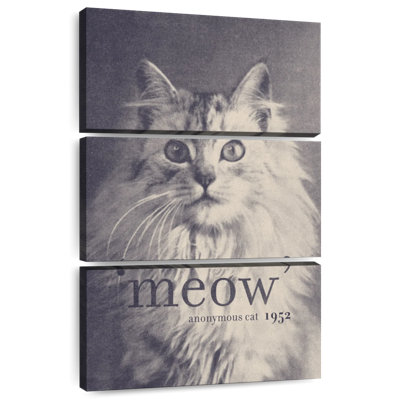Brampt Famous Quotes Anonymous Cat 1952