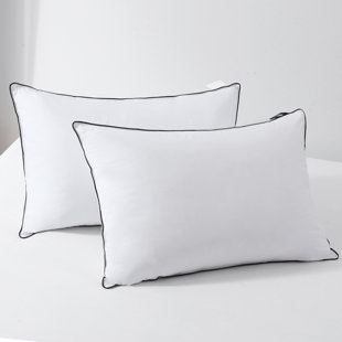 Oreiller en duvet et plumes d'oie Collection Hotel (Ensemble de 2)