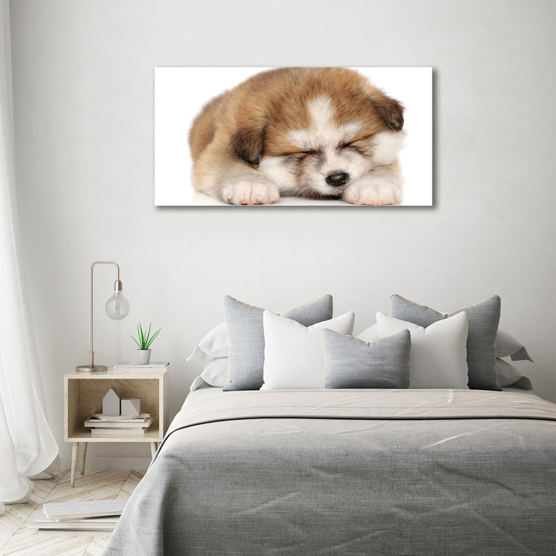 Akita Puppy - Wrapped Canvas Print