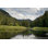 " Black Hills Trout Stream " by Willard