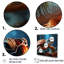 Abstrait harmonie - Tortue, art mural sur toile-97046462-97046471
