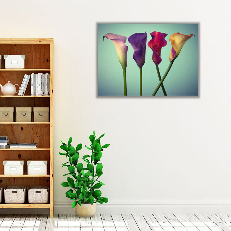 «Four Calla Lilies 5», reproduction d'art sur toile, H 18 po x l 24 po