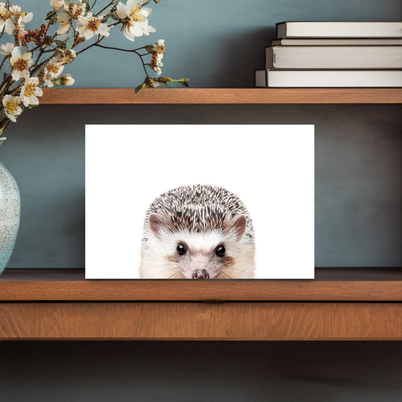 Wrapped Canvas Print, 30.48 cm H x 45.72 cm W
