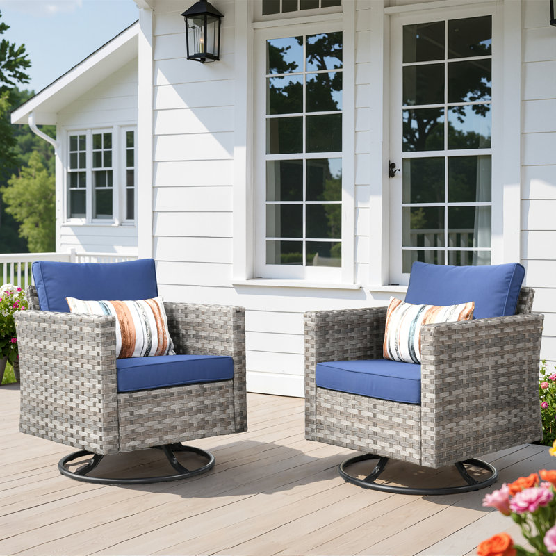 Baili Outdoor Patio Chair with Cushions (Set of 2), Black