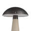 Struzzo Accent Lamp
