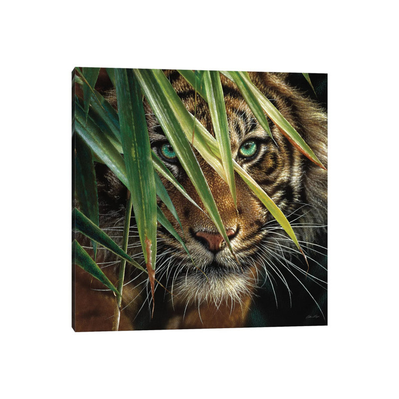 Tiger Eyes by Collin Bogle - Wrapped Canvas Print, 30.48 cm H x 30.48 cm W, Wrapped Canvas