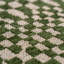 Structures Berber Oasis Recycled P.E.T Area Rug-114579239