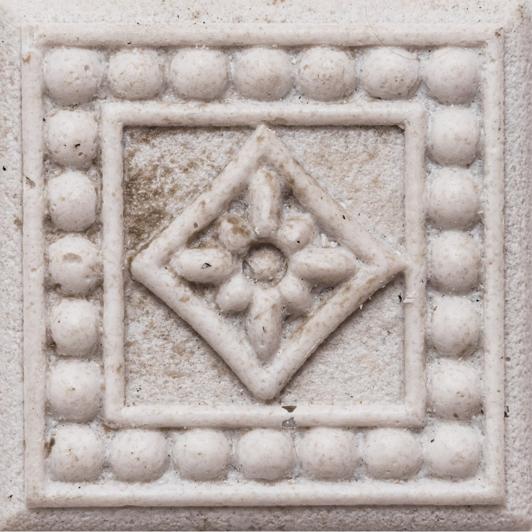 Dallas 2'' L x 2'' W Tile Trim The Tile Life 