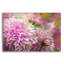 Art mural en verre Lark Manor ™ «Pink Dahlias» par Carol Cavalaris, 36 po x 24 po