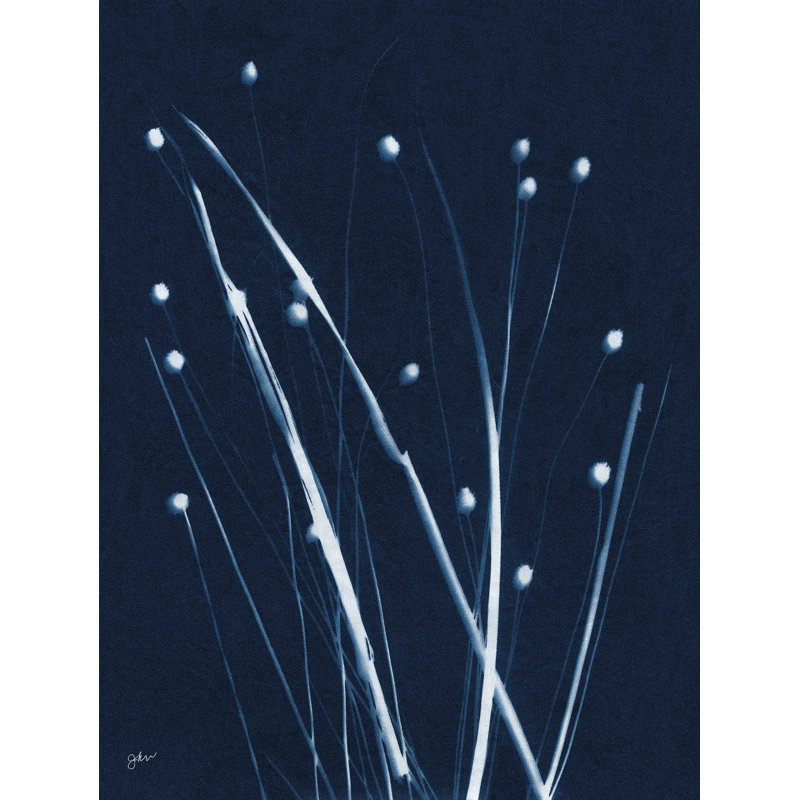 Indigo Firefly par Julie Norkus, Canevas, H 48 po x l 36 po, Pas de tapis