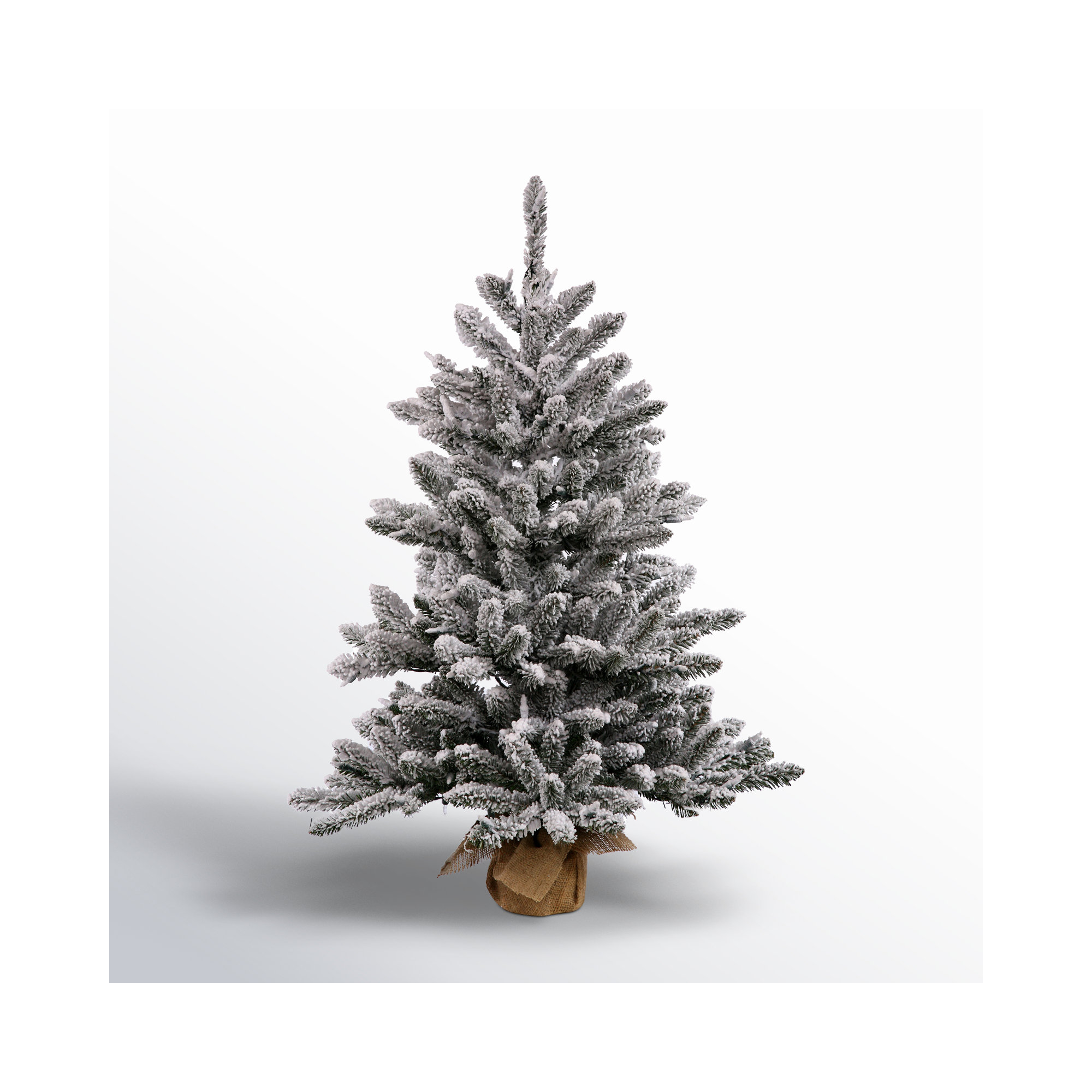 Flocked Anoka Pine Tabletop Artificial Christmas Tree, 2.5'H