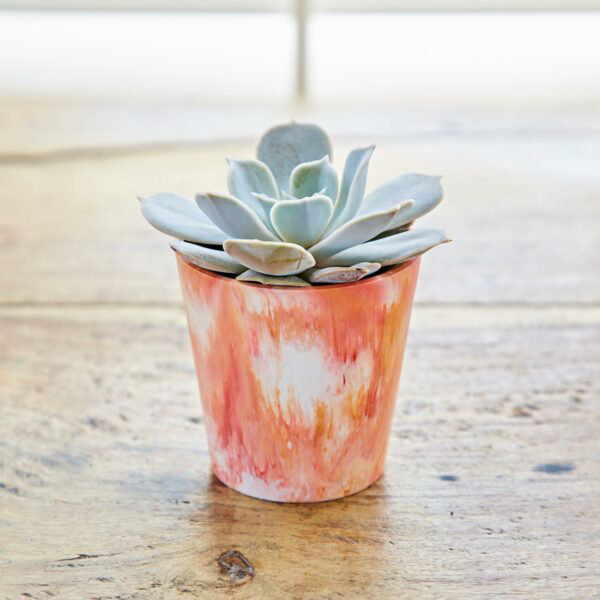 Pot Planter, Multicoloured