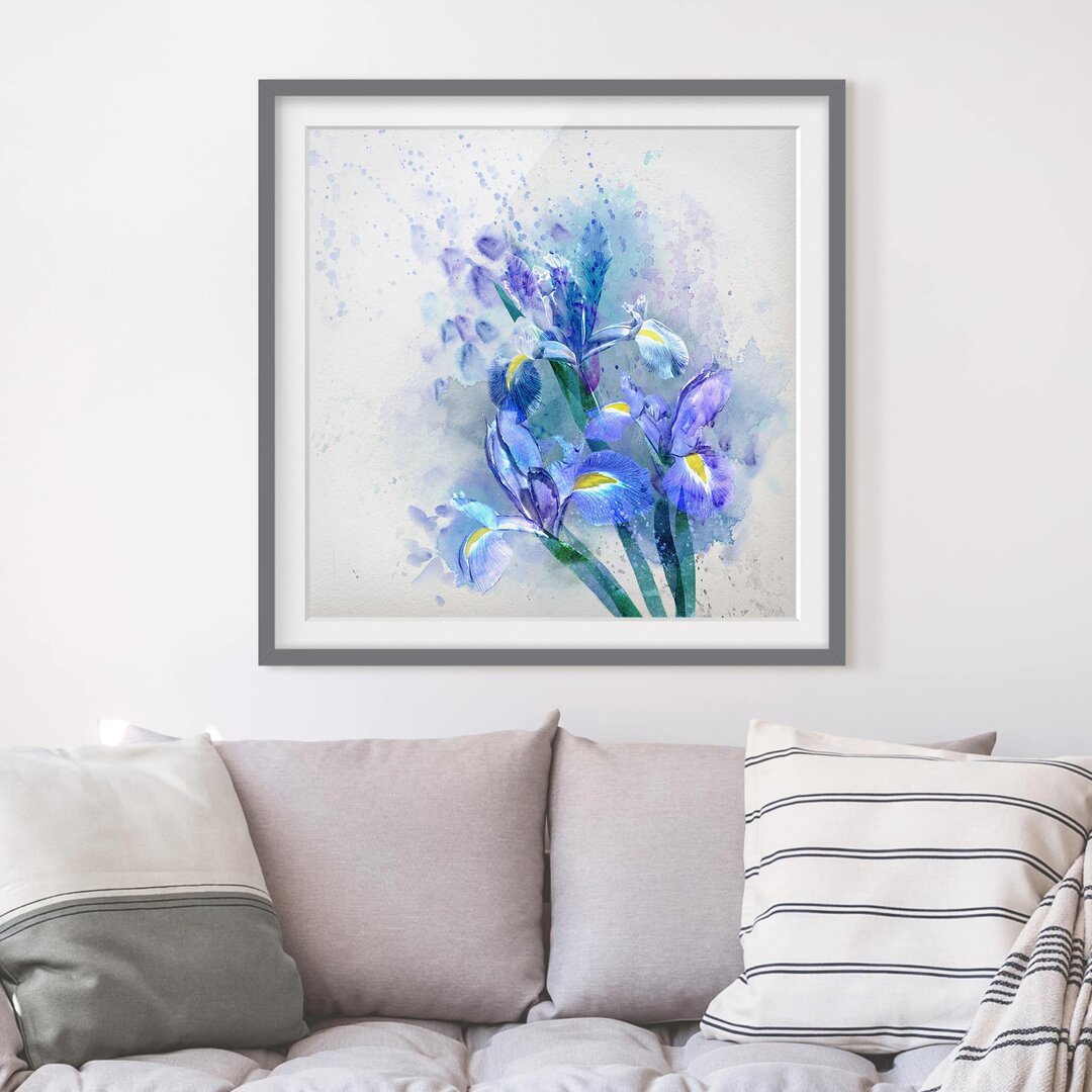 Gerahmtes Papierbild Aquarell Blumen Iris