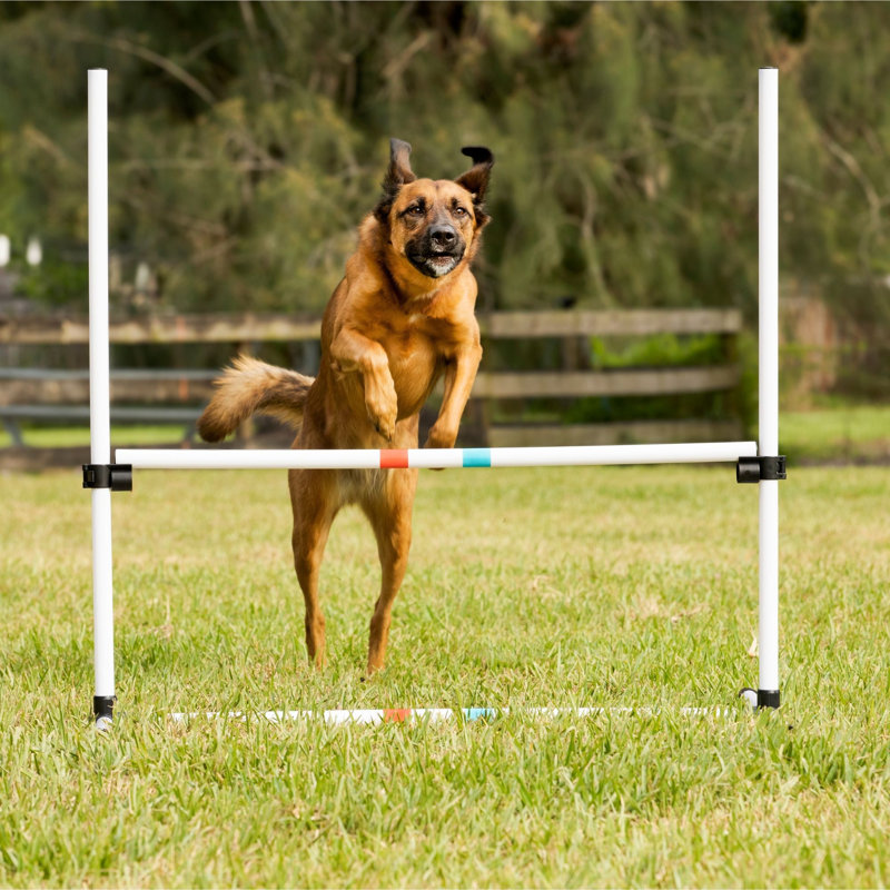 Adjustable White Plastic Dog Agility Training Bar Jumps Set
