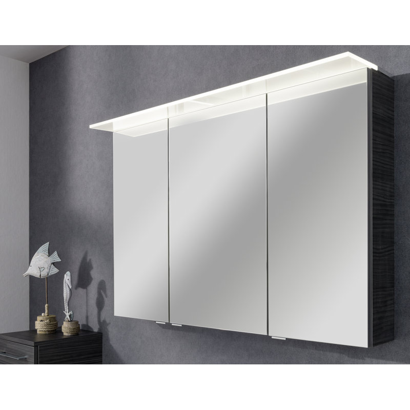 1000mm W 690mm H Surface Frameless Medicine Cabinet Mirror, Black