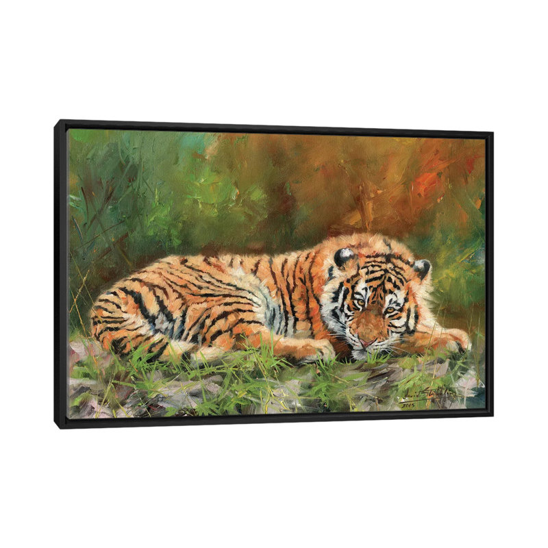 « amur tiger repose », impression sur toile, H 18 po x l 26 po x P 1,5 po, Toile avec cadre noir, Pas de tapis
