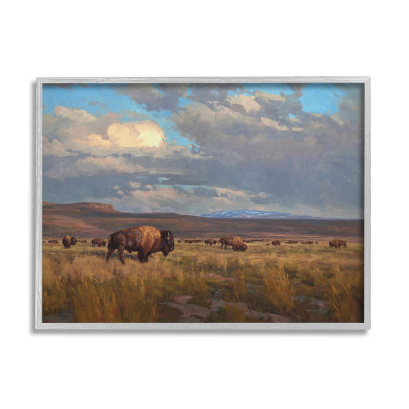 Az-385 - Paysage nuageux Buffalo, Estampe numérique Farmhouse, H 24 po x l 30 po x P 1,5 po