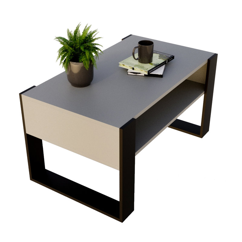 Kruize Sled Coffee Table with Storage