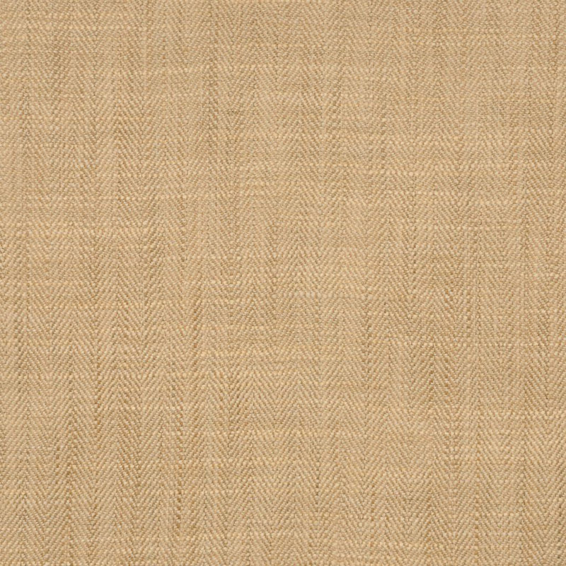 Tissu Amplitude, Noix de cajou