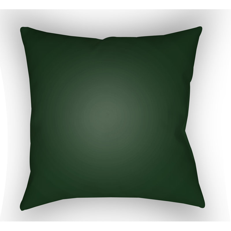 Buffalo Indoor/Outdoor Throw Pillow, 20" H x 20" W x 4" D