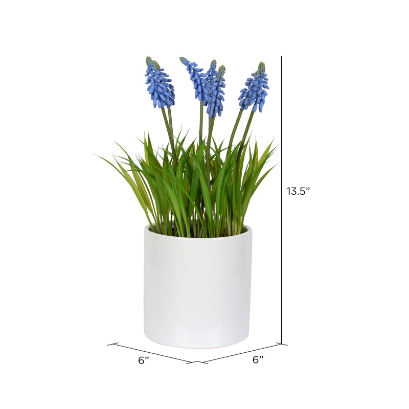 Agencements floral jacinthe à fleurs en pot
