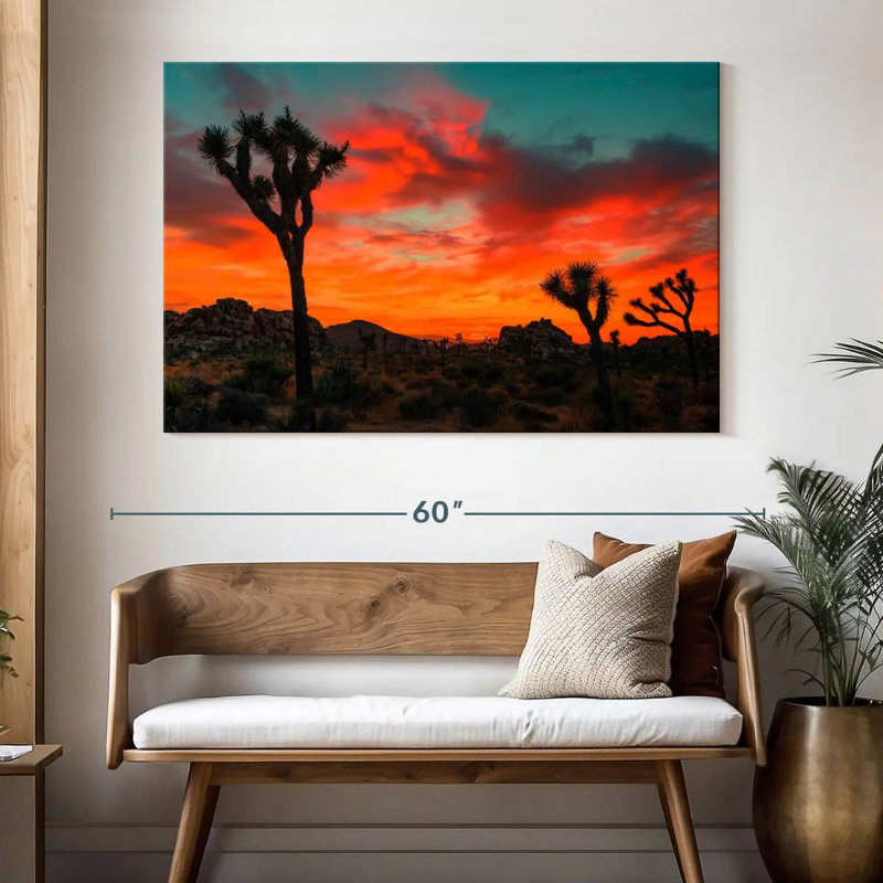 Palmiers Yucca Ravi Sunset, H 34 po x l 51 po