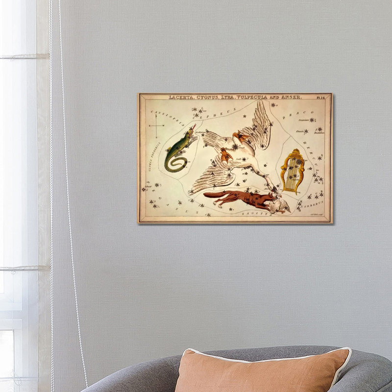Lacerta, Cygnus, Lyra, Vulpecula And Anser by Sidney Hall - Wrapped Canvas Print, 66.04 cm H x 45.72 cm W x 1.91 cm D