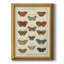 Histoire Naturelle, impression de papillons-481967991