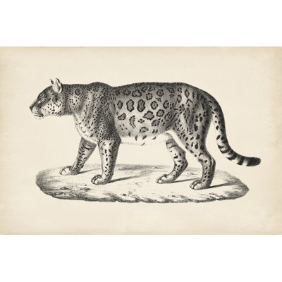 Brodtmann Female Leopard - Painting
