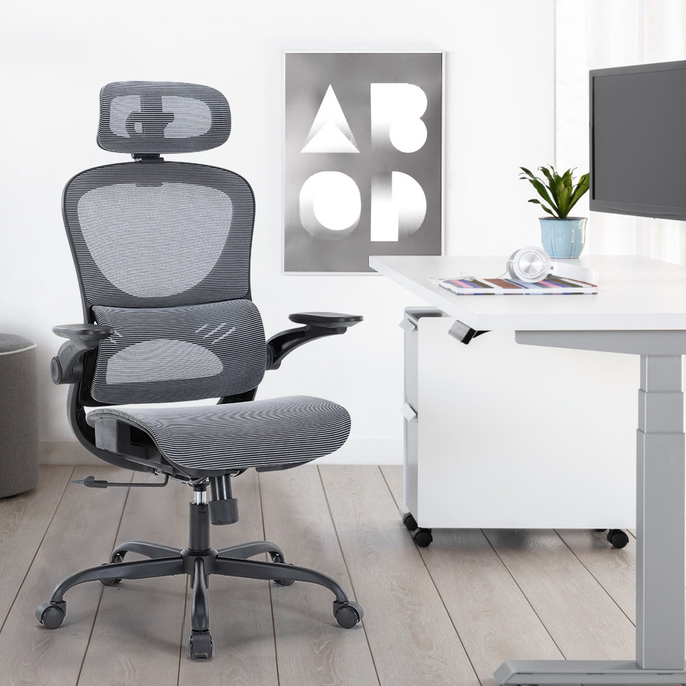  SIHOO M57 Ergonomic Office Chair with 3 Way Armrests Lumbar  Support and Adjustable Headrest High Back Tilt Function Grey : Home &  Kitchen