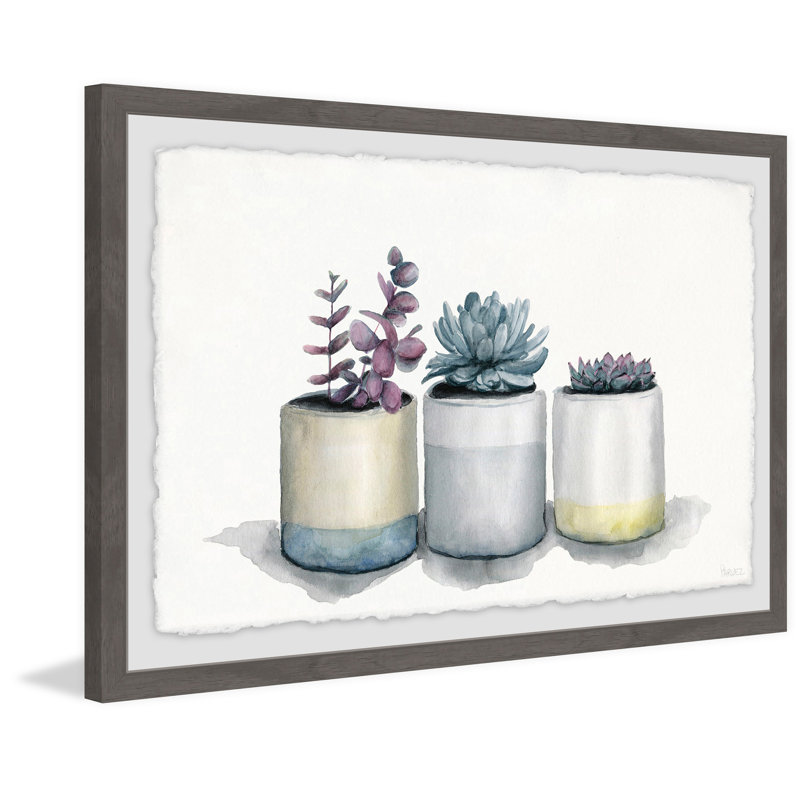 Three Potted Succulents by Parvez Taj - Single Picture Frame Painting, 61cm H x 91cm W