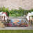 Nourison Color Splash 4' x 6' Multicolor Coastal, Nautical & Beach Rug-117953726