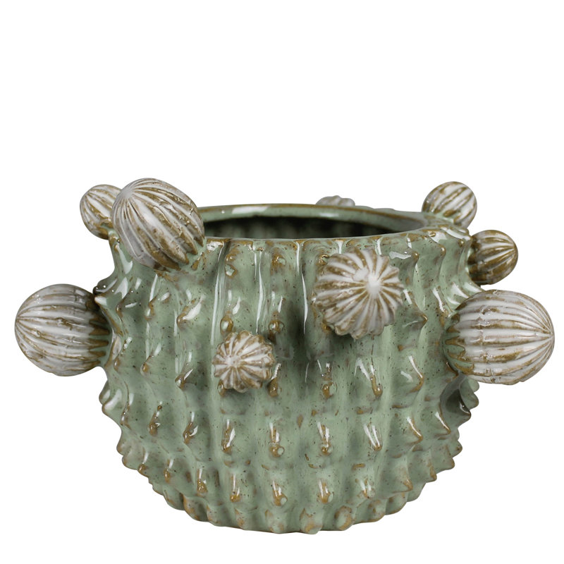 Cache-pot Cactus, céramique - 4 po