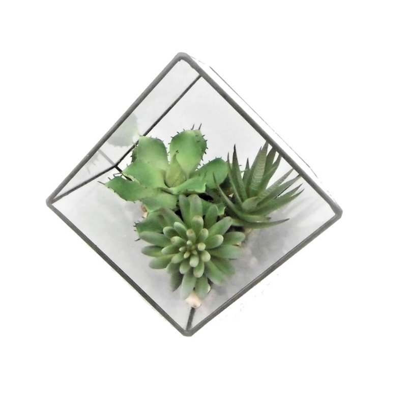 Arrangement artificiel de plantes grasses et terrarium, H 7,5 po x l 7 po x P 7 po