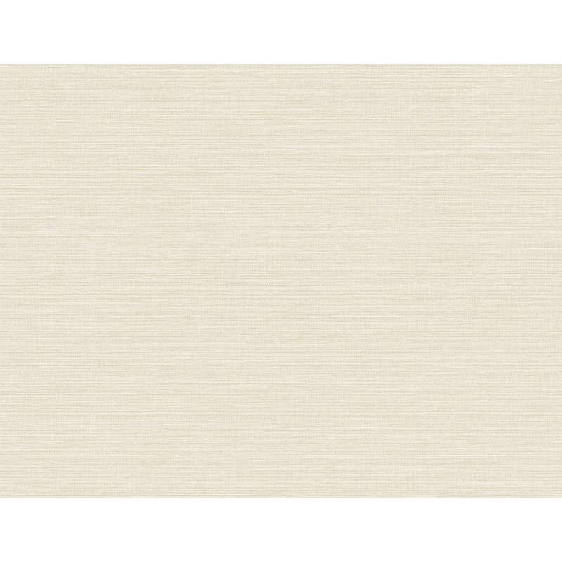 Rouleau de papier peint L 2,3 pi x l 27 po, Beige