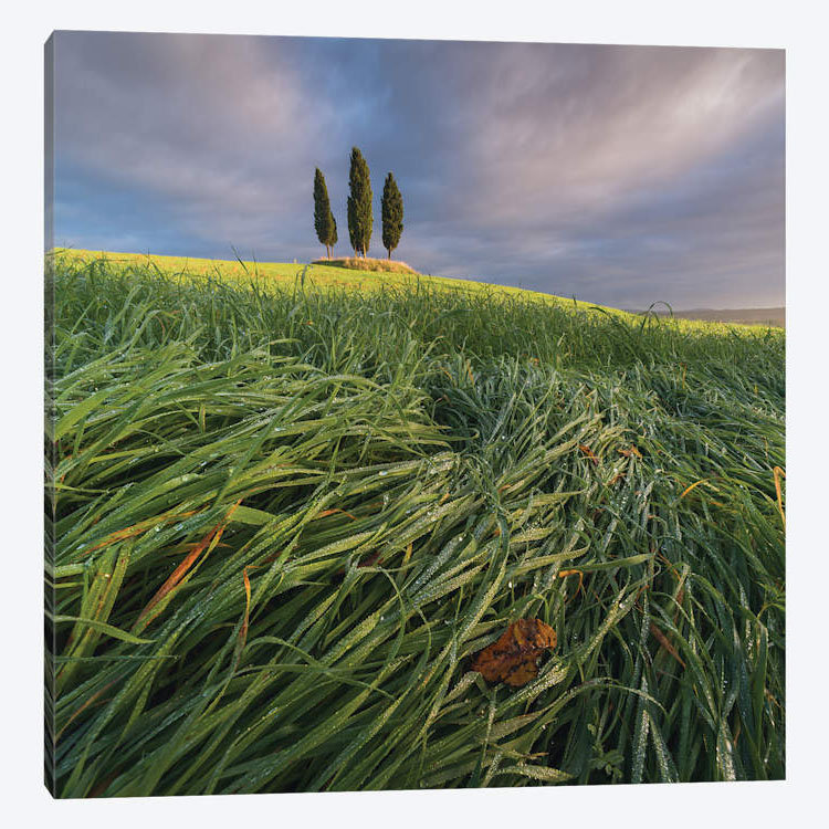 «Spring in Tuscany VI», impression sur toile, H 37 po x l 37 po x P 1,5 po, Toile tendue, Pas de tapis