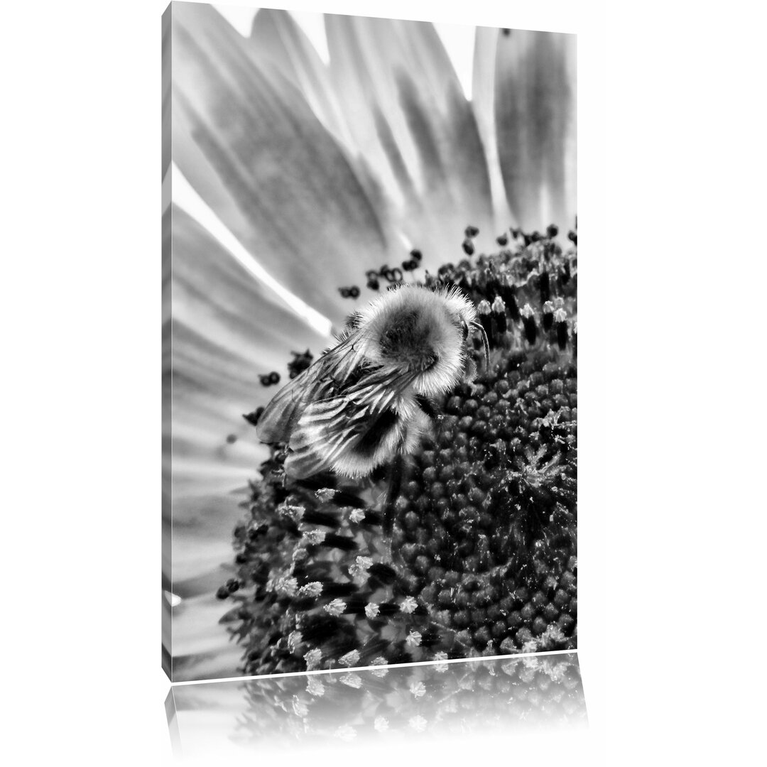 Leinwandbild Biene auf Sonnenblume in Monochrom