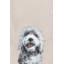 «Simply Furr», reproduction sur toile tendue-72925801