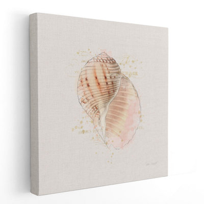 «Shell Collector V», reproduction d'art sur toile