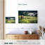 Ronce de bovins du Tyrol-108707960