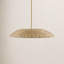 Luminaire suspendu Evonna Jeffon