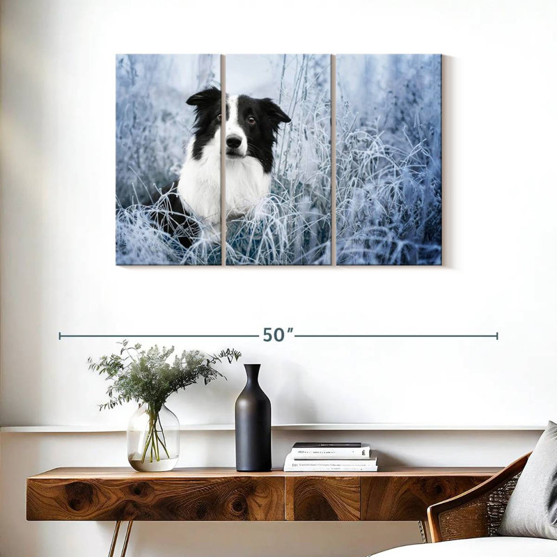 Border collie Brampt Winter, H 24 po x l 38 po