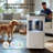 2.1 Gal. Mistless 6-Speed Humidifier For 430 Sq. Ft.with Aromatherapy, 360° Mist Rotation Washable Filters, Sleep Mode & Timer