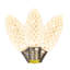 Ampoule