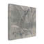 «In the Garden III Grey», reproduction d'art sur toile tendue-30320988
