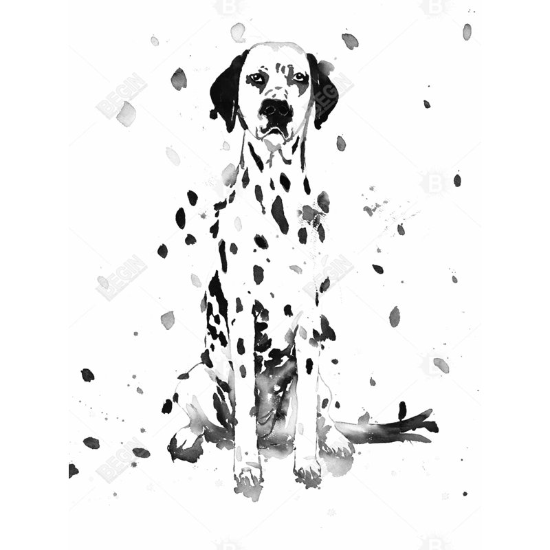Art sur toile dalmatien - décor de chambre à coucher pour les amoureux des chiens, H 48 po x l 36 po